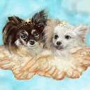 avatar suburban flesh