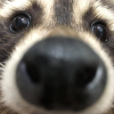 avatar Whoever i'm supposed to be