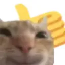tx_xmo