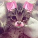 bddylol#0's pfp