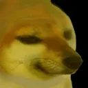 peronelpro