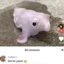 thebestmonke.