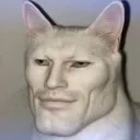 xsgn