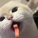 nongnutlnwza