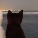 solixthegoat.'s Avatar