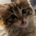 officialvalo_1's Avatar