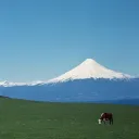 foxtrotraze