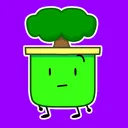 yoyleplant