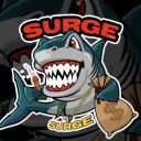 surgeworldwide