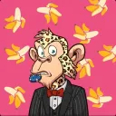 jimmymephis42