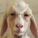 jonimester
