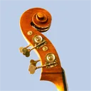 jazzer4509
