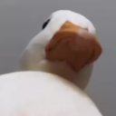 avatar Lord von Ente