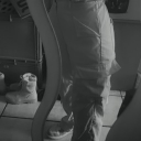 avatar Ein_Wildes_Esel