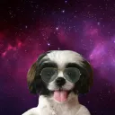 nftbella