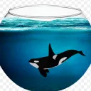 orca_balena