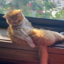 avatar 𝐄𝐑𝐑𝐎𝐑