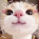 avatar 𝓛𝓮𝓪🦋