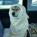 avatar 你媽是個大魚