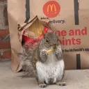 0xpizzadough