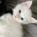 avatar ᴋᴀɪꜱᴇʀɪɴ