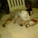 Colider | WattsitoElmascaPito