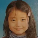 sakura11269799
