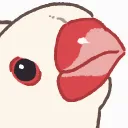 akari_3181