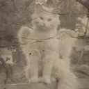 Ralph avatar