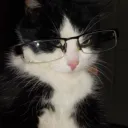 verciu_