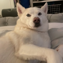 Discord Avatar