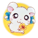 romantic_hypatia84 member profile picture