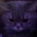 meowbii.
