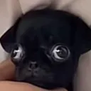 slimaversion47 avatar