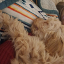 avatar she saw me floating