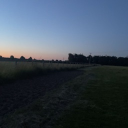 avatar e𝓁𝓁ieee