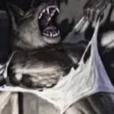 crucialbigboynuts