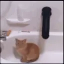 Аватар hyrexx0