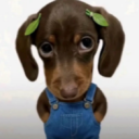Discord Avatar