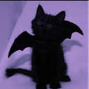 avatar 🫐 Shift_101 🖤