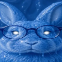 avatar M1DNIGHT