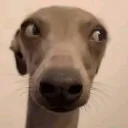 miguelg0me2
