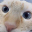 eugohanz