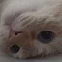 eugohanz