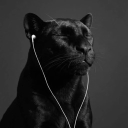 avatar Red Flag Effect