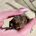 avatar 𝒜𝓁𝓁𝑒