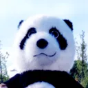 pandryf
