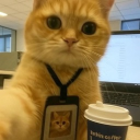 existential.crisis.unlimited#0