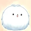 cachorro_fofo