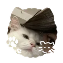.whosnat_